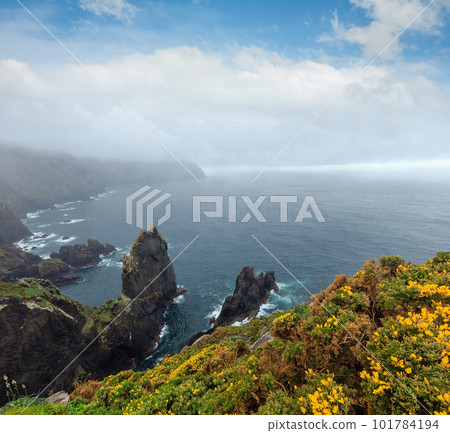 Blossoming Cape Ortegal (Spain). Blossoming Cape Ortegal (Spain). 101784194