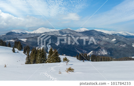 Winter snowy Carpathian mountains, Ukraine 101784233