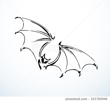 The bat is flying. Vector drawing 101784946