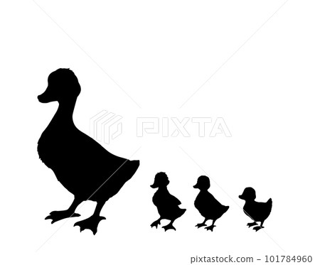 Mother duck with ducklings. Vector outline drawing Mother duck with ducklings. Vector outline drawing 101784960