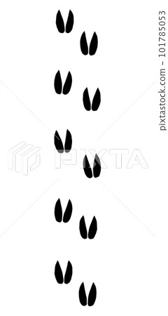 Sheep foot print. Vector drawing 101785053
