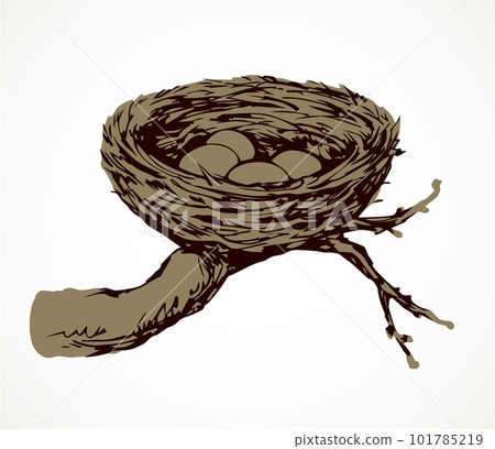 Nest. Vector drawing 101785219
