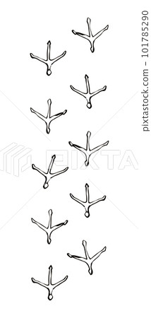 Traces of chicken. Vector drawing 101785290