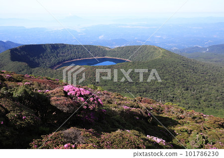 美山霧島盛開的初夏大波池 美山霧島盛開的初夏大波池 101786230