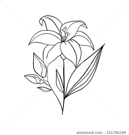 Black silhouettes of grass, flowers and herbs isolated on white background. Hand drawn sketch flowers and insects. 101786299