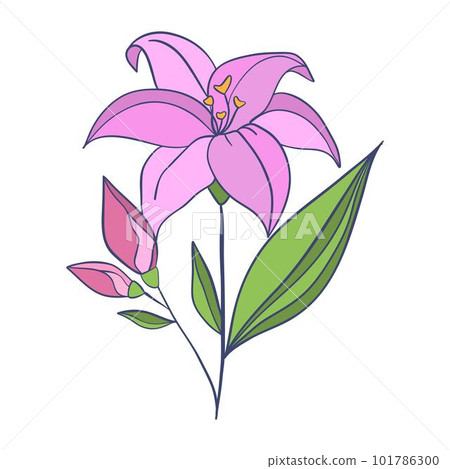 Lotus. Pink flower. Stem and leaves for advertising or invitation. Blossom, bud opening, an aquatic plant. 3D design. Isolated objects for design 101786300