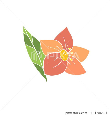 Flower branch, stem. Blooming floral plant, gentle delicate bellflowers buds on twig with leaf. Abstract herb, wildflower. Modern botanical flat vector illustration isolated on white background 101786301