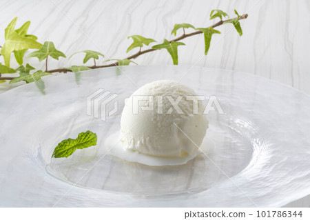 Cold and delicious vanilla ice cream 101786344