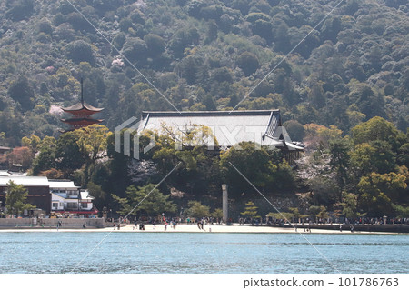 Spring Miyajima Spring Miyajima 101786763