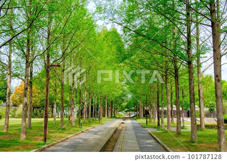 Japan navel park Japan navel park 101787128