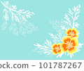 初夏花加州罌粟的插圖 101787267