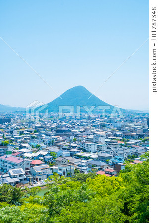 View from Marugame Castle/Tsukimi Yagura Ruins: Sanuki Plain and Sanuki Fuji (Mt. Iino) 101787348