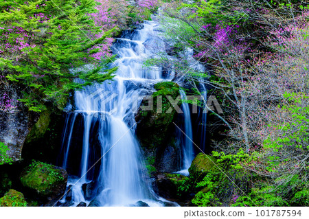 Mizuba杜鵑花和瀑布 101787594