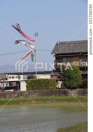 鯉魚幡在藍天中游弋 鯉魚幡在藍天中游弋 101788580