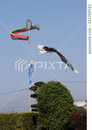 鯉魚幡在藍天中游弋 101788583