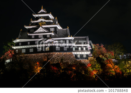 令和大修後的岡山城紅葉燈飾 101788848
