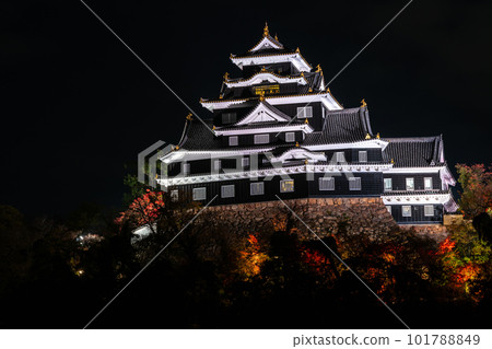 令和大修後的岡山城紅葉燈飾 令和大修後的岡山城紅葉燈飾 101788849