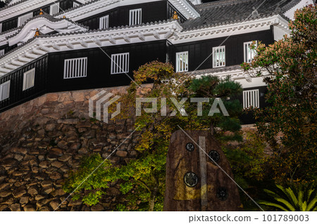 令和大修後的岡山城紅葉燈飾 101789003