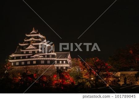 令和大修後的岡山城紅葉燈飾 101789045