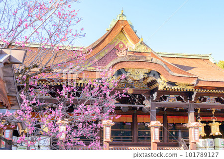 有梅花、寺廟和神社的北野天滿宮 101789127