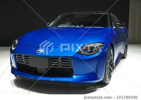 陳列室淑女 101789390