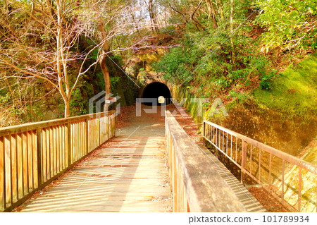 長尾2號隧道，位於舊福知山線停運現場的隧道 101789934