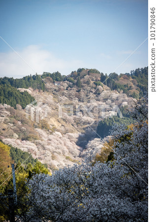 Mount Yoshino, Kansai, Japan Mount Yoshino, Kansai, Japan 101790846