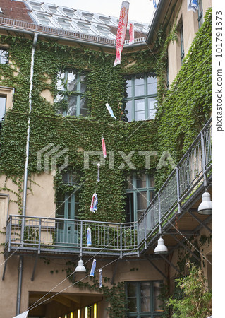 germany berlin landscape carp streamer 101791373