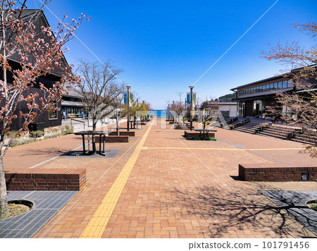 Spring seapal pier Onagawa / Onagawa-cho, Oshika-gun, Miyagi Prefecture Spring seapal pier Onagawa / Onagawa-cho, Oshika-gun, Miyagi Prefecture 101791456