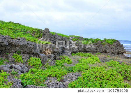 沖繩縣絲滿市姬百合學生散下遺跡周邊的風景 101791606
