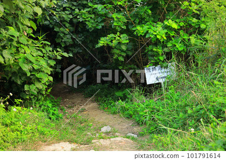 Scenery around the ruins of Himeyuri student Sange in Itoman, Okinawa Prefecture Scenery around the ruins of Himeyuri student Sange in Itoman, Okinawa Prefecture 101791614