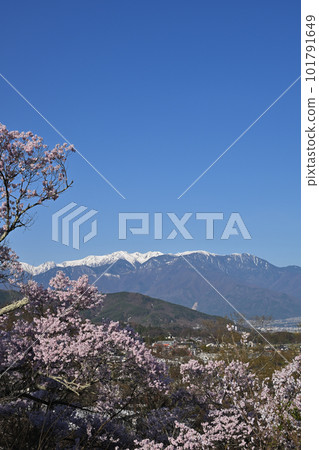 高人小彼岸櫻和中央阿爾卑斯山 高人小彼岸櫻和中央阿爾卑斯山 101791649