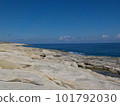 Beach 101792030