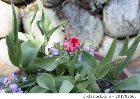 比比山公園 比比山公園 101792663