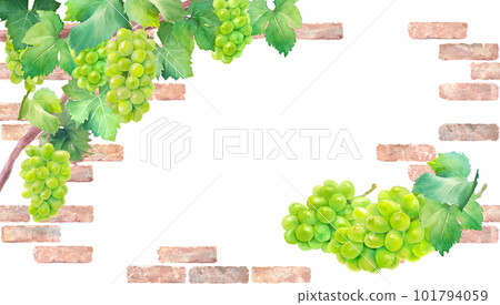 在天然磚牆的背景下，閃耀馬斯喀特葡萄（白葡萄）的水彩插圖。火焰 101794059