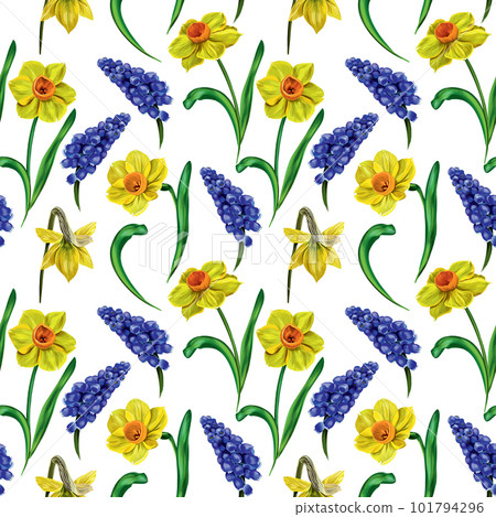 Seamless vector pattern with colorful spring flowers. Yellow daffodils, blue muscari, green leaves. Packaging design, cover, fabric, testille. 101794296