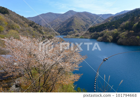 奧島湖的春天 奧島湖的春天 101794668
