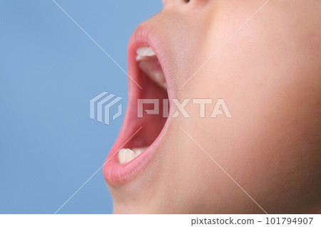 Close-up side view of inside the oral cavity of a healthy child with beautiful rows of teeth. Young girl opens mouth revealing upper and lower teeth, dental and oral health checkup. 101794907
