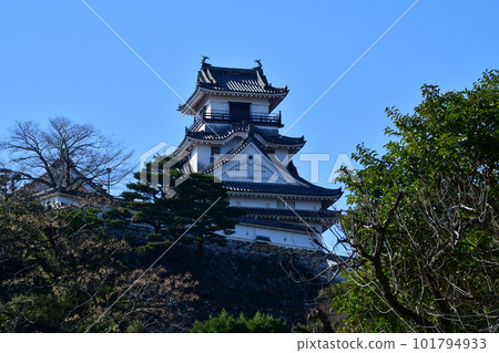 Kochi Castle 02 101794933