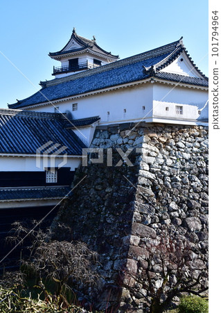 Kochi Castle 33 101794964