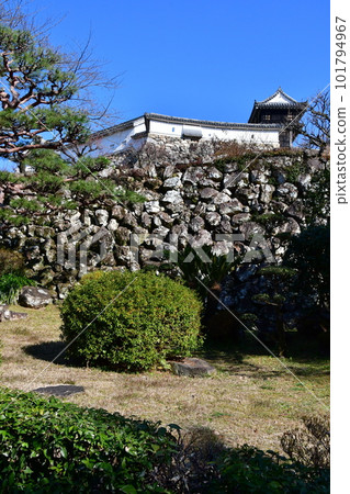 Kochi Castle36 101794967