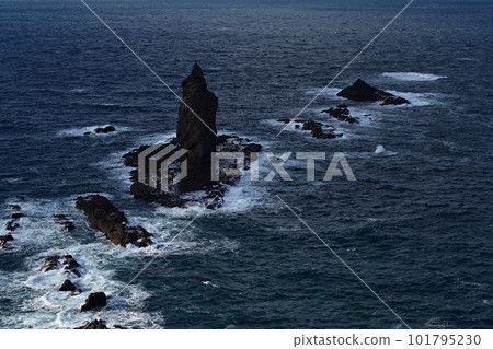 Kamiaki 101795230