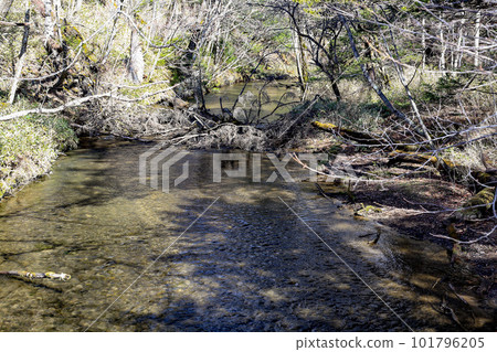 River flowing through Senjogahara River flowing through Senjogahara 101796205