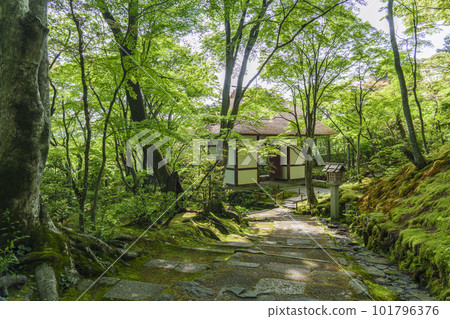 綠意盎然的常寂光寺 從末吉坂看到的仁王門（京都嵯峨野） 101796376