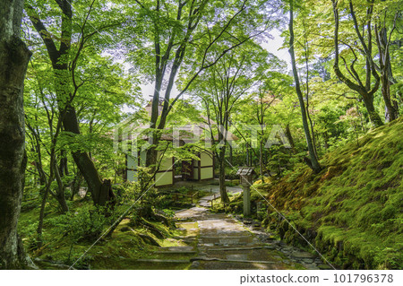 綠意盎然的常寂光寺 從末吉坂看到的仁王門（京都嵯峨野） 101796378