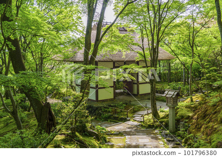 綠意盎然的常寂光寺 從末吉坂看到的仁王門（京都嵯峨野） 101796380