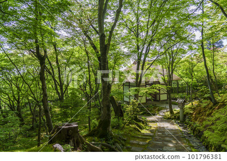 Jojakko-ji Temple surrounded by fresh greenery, Niomon seen from Sueyoshizaka (Kyoto Sagano) 101796381