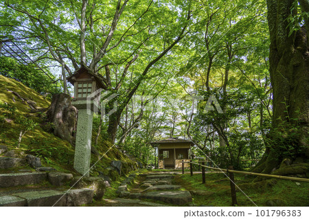 綠意盎然的常寂光寺 從末吉坂看到的仁王門（京都嵯峨野） 101796383