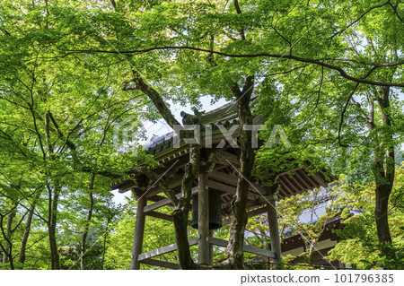 綠意盎然的常寂光寺，從末吉坂看到的鐘樓（京都嵯峨野） 101796385