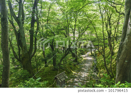 綠意盎然的常寂光寺 從末吉坂看到的仁王門（京都嵯峨野） 101796415